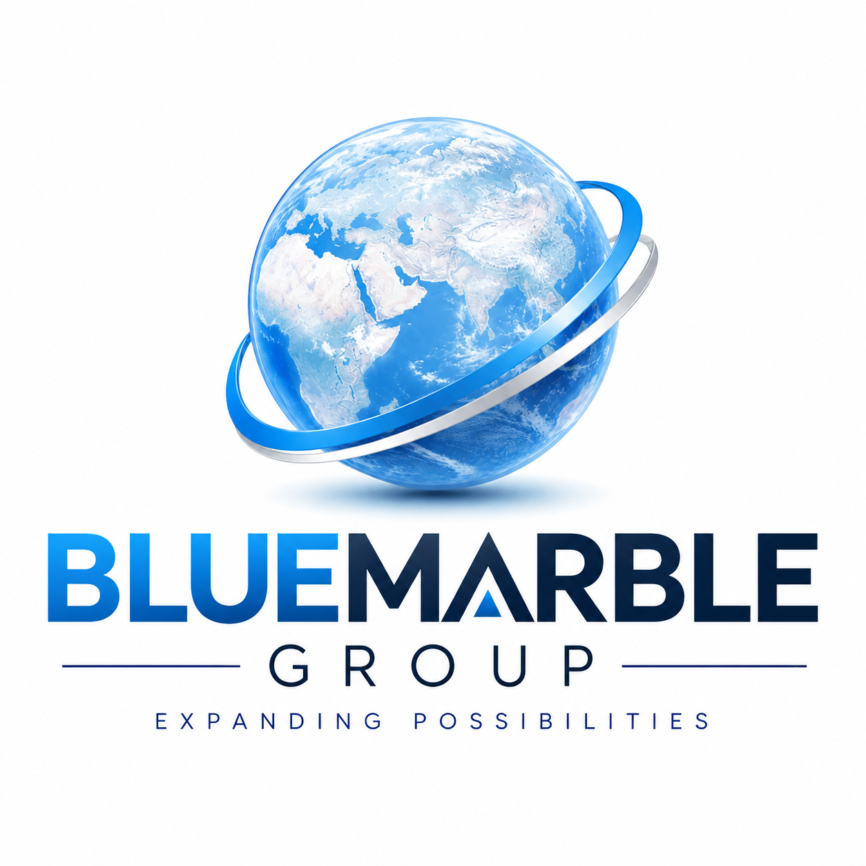 BLUEMARBLE GROUP logo